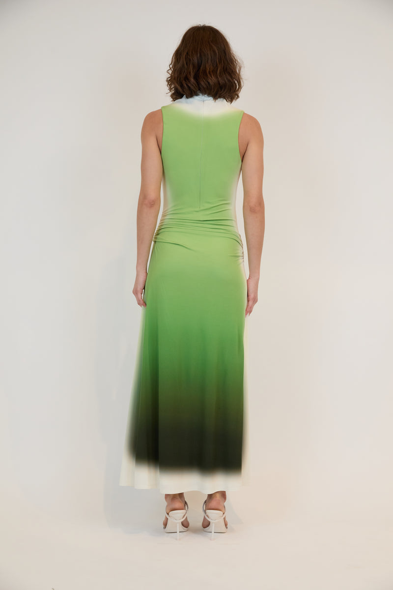 Aldina Midi Dress- Chromatic Vine