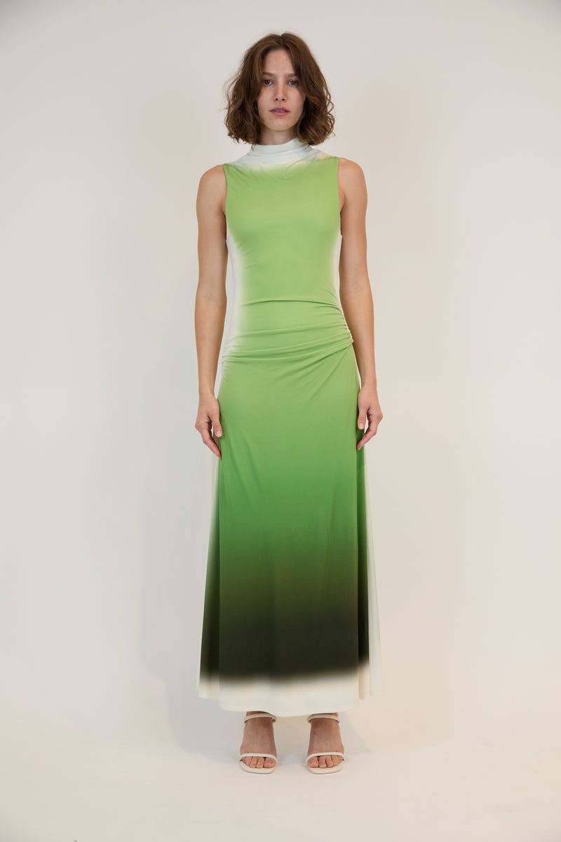 Aldina Midi Dress- Chromatic Vine