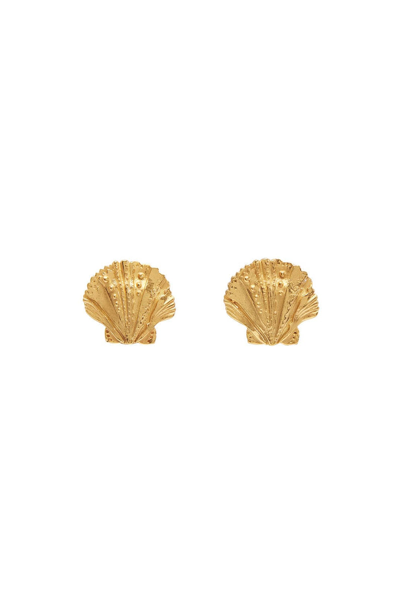 Curio Shell Studs